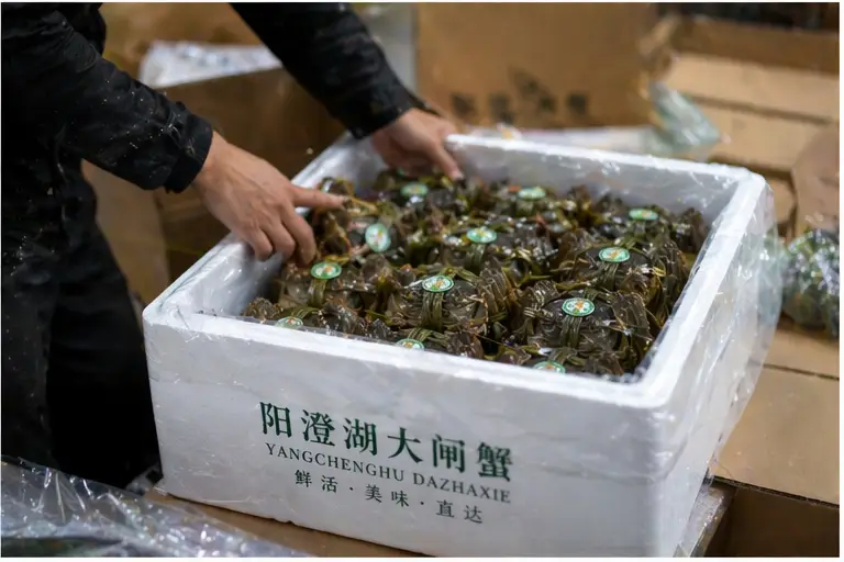 发货 阳澄湖大闸蟹养殖基地 打包发货