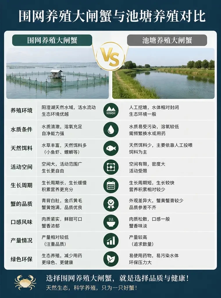 围网养殖大闸蟹与池塘养殖对比